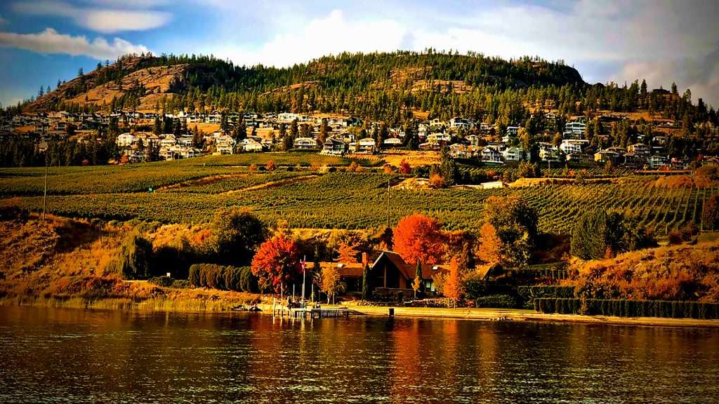 wine-tours